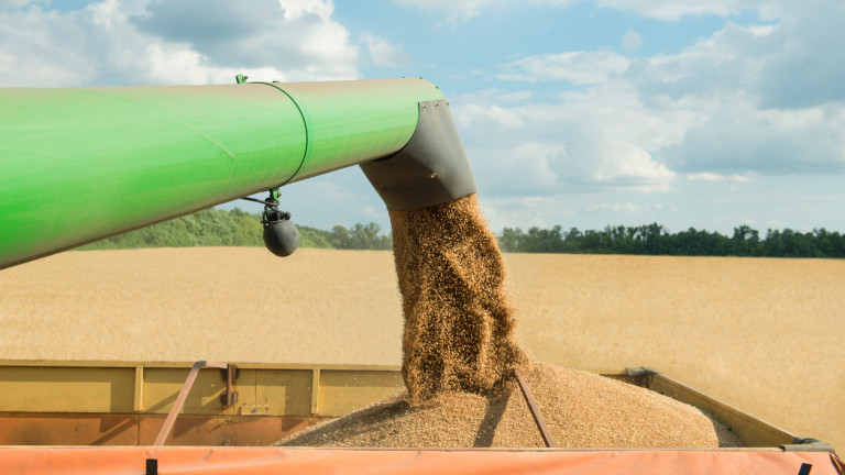 Прибрани са 4,5 милиона тона пшеница при 97% от площите