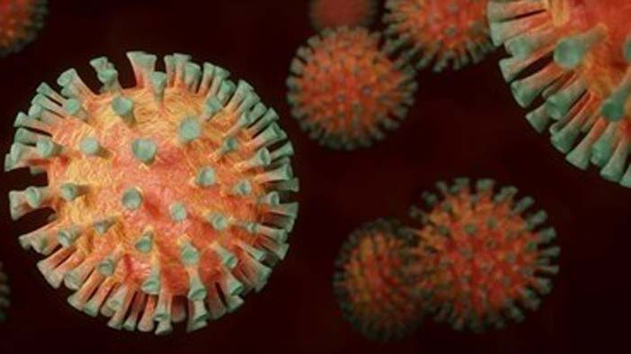 Коронавирусът уврежда черния дроб на всеки пети заразен