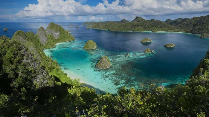 Райски остров крие най-голямото ботаническо съкровище в света