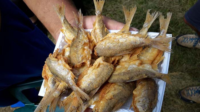 Фестивал на турлашката кухня в Чупренския Балкан