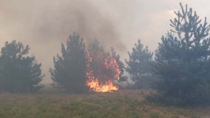 Пожарът край Свиленград върви към границата