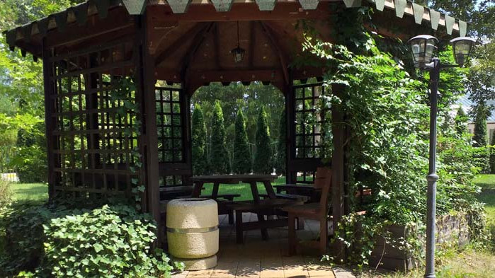 Корона кризата удари и безнеса „разходка с лодка“ (ВИДЕО)