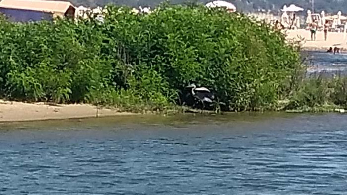 Корона кризата удари и безнеса „разходка с лодка“ (ВИДЕО)