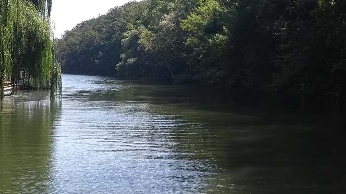 Корона кризата удари и безнеса „разходка с лодка“ (ВИДЕО)