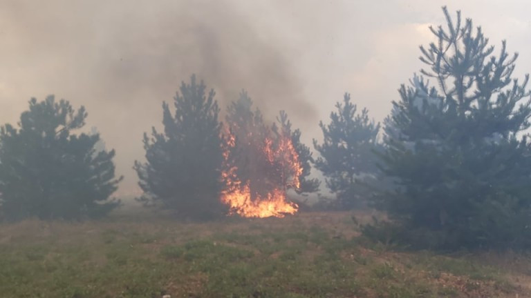 Нови пожари избухнаха в Хасковско