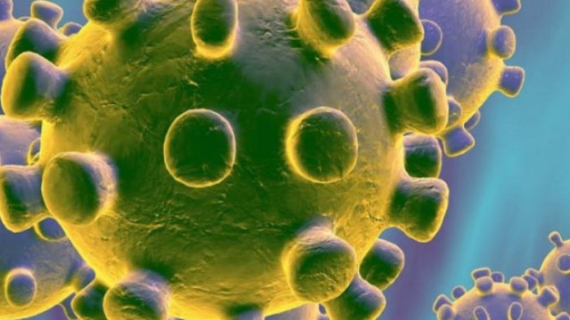 Двама медици и двама потребители с COVID-19 в хоспис "Филаретова" във Варна