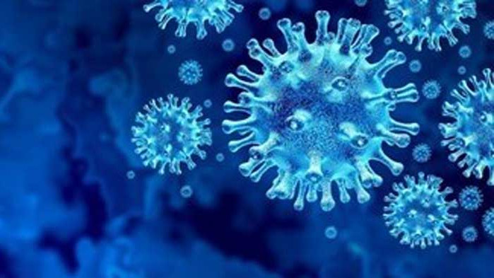 Близо 22,5 милиона регистрирани заразени с коронавируса по света и почти 788 хиляди починали